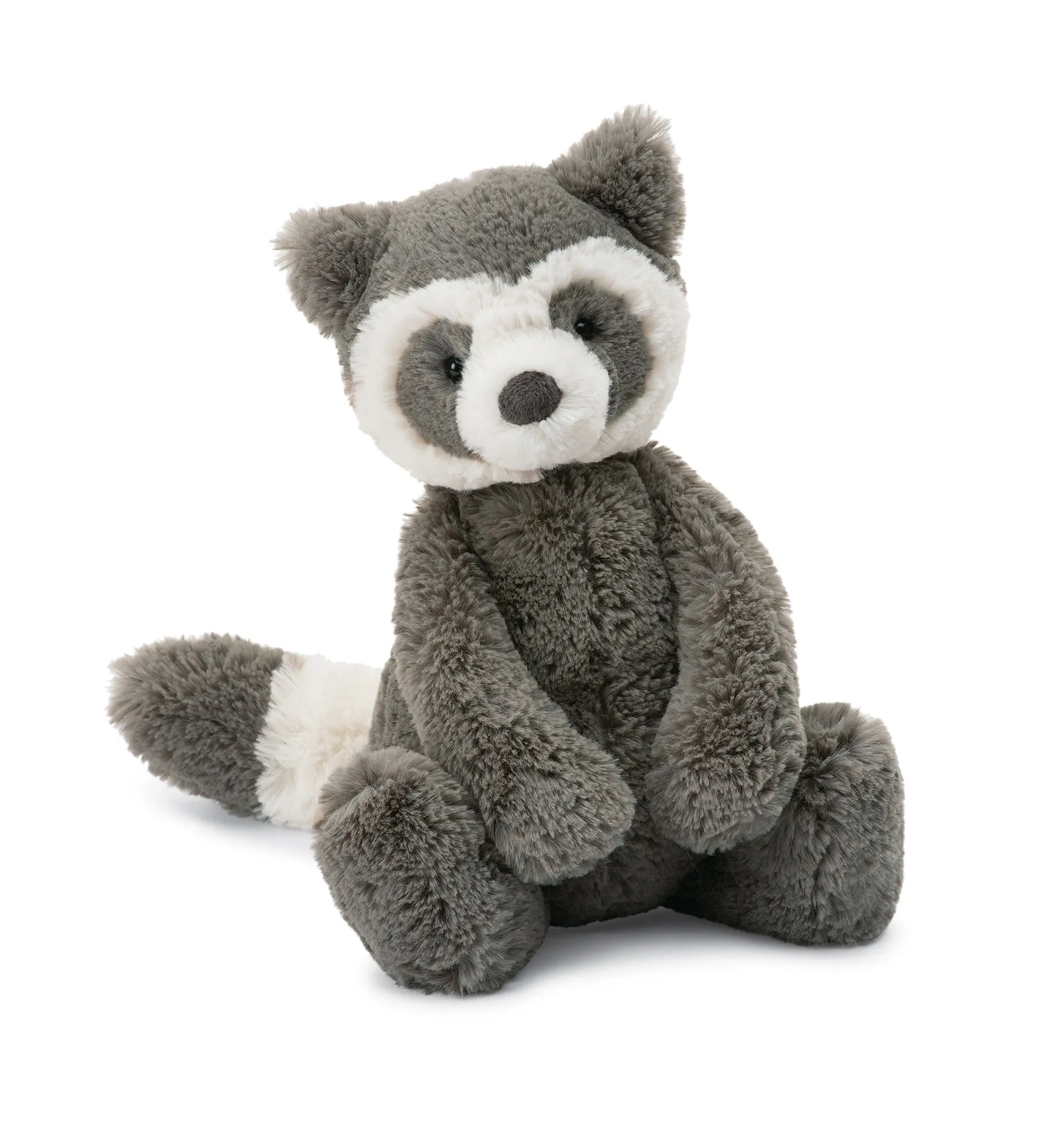 Bashful Raccoon