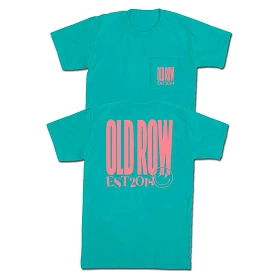 Chicks Short Sleeve T-Shirt in Seafoam